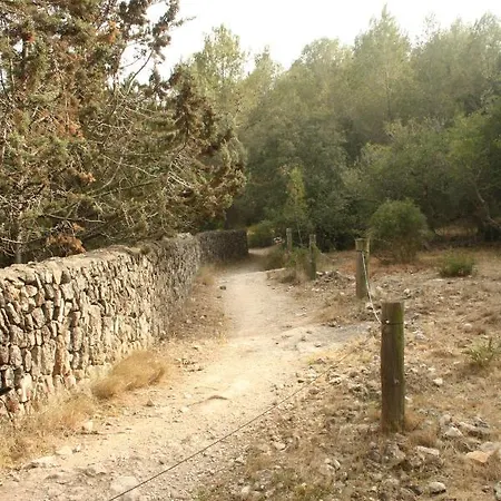 Apartamento Rústico Reformado Con Encanto Sant Pere De Ribes
